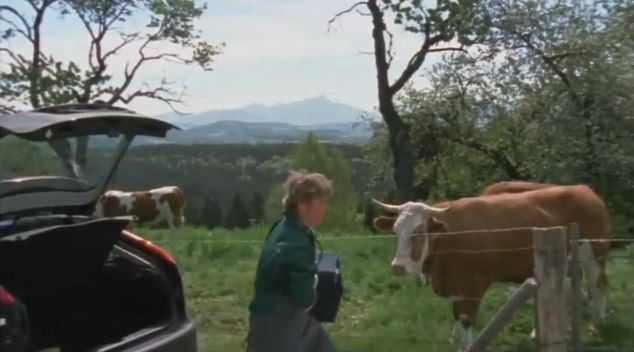 2005 Ford Focus MkII