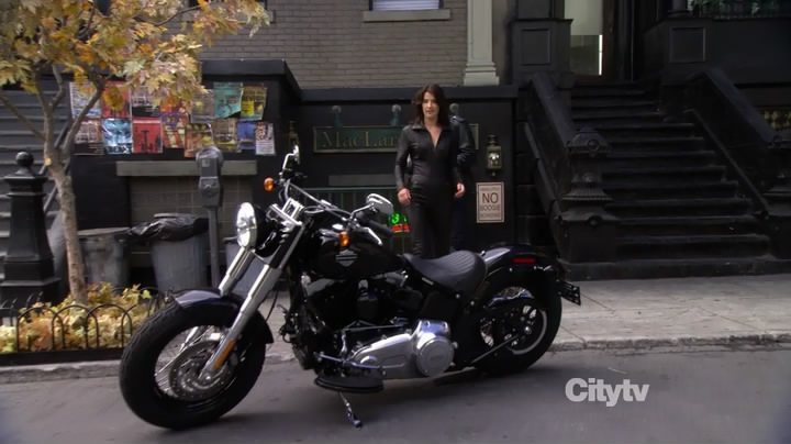 Harley-Davidson Softail Slim
