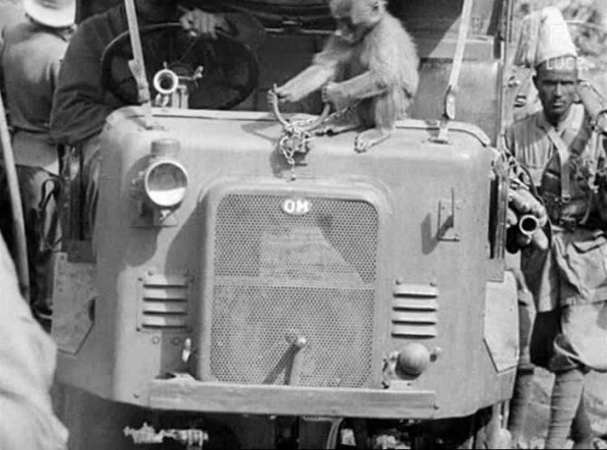 OM Autocarretta