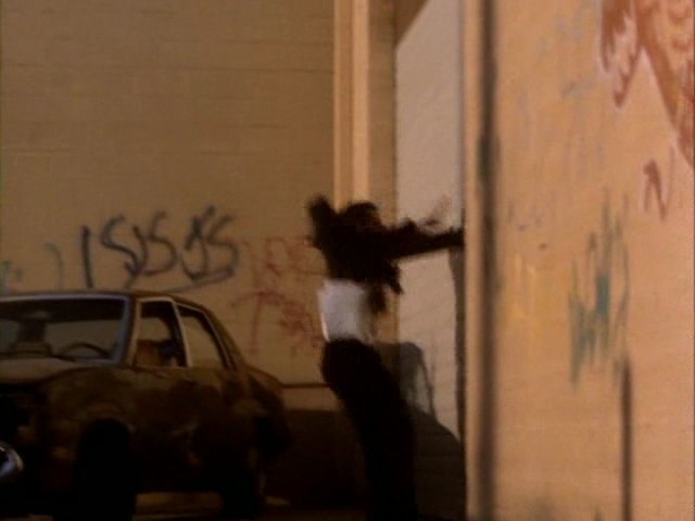 1980 Oldsmobile Omega