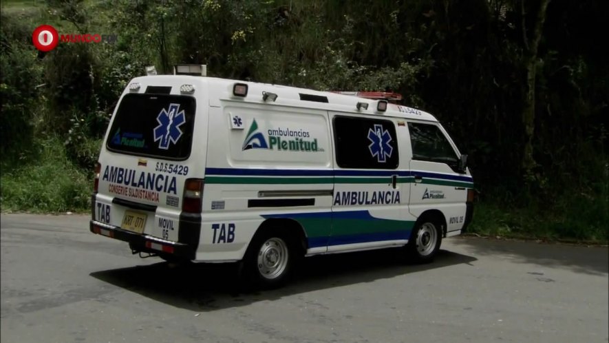 Mitsubishi L-300 [P10]