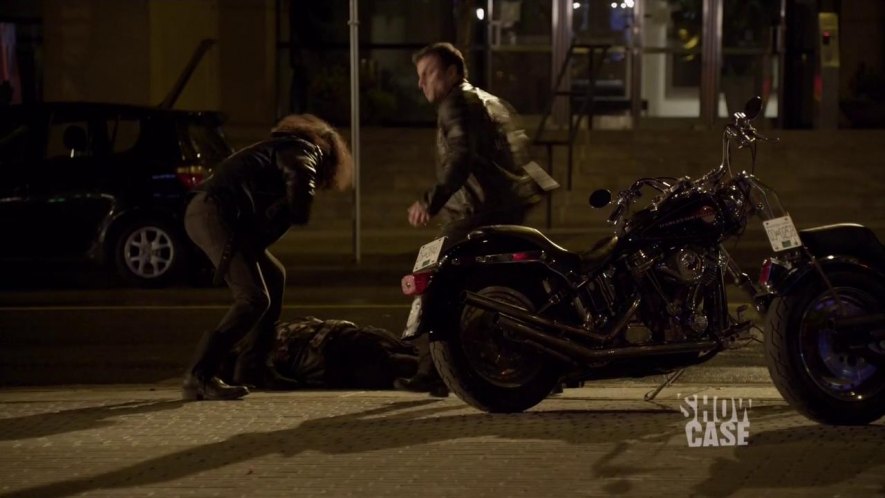 Harley-Davidson Softail