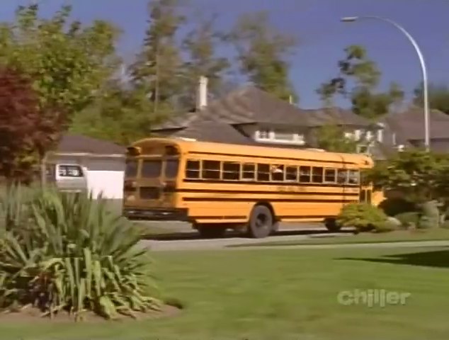 1990 International 3000-Series Blue Bird Conventional