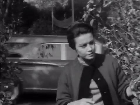 1960 Mercury Commuter