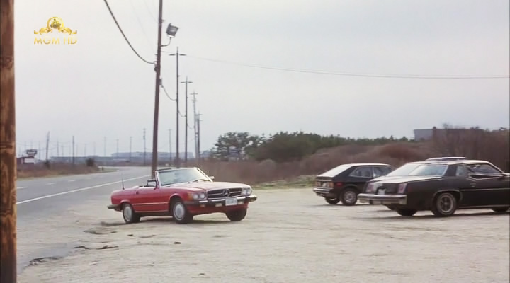 1976 Volkswagen Scirocco MkI [Typ 53]