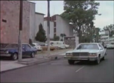 1973 VAM Rambler American