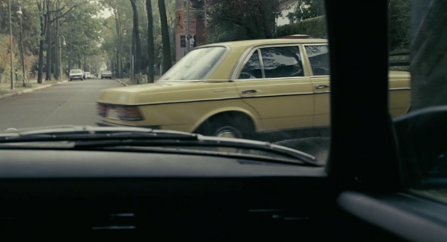 1976 Mercedes-Benz [W123]