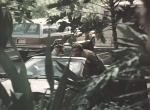 1978 unknown