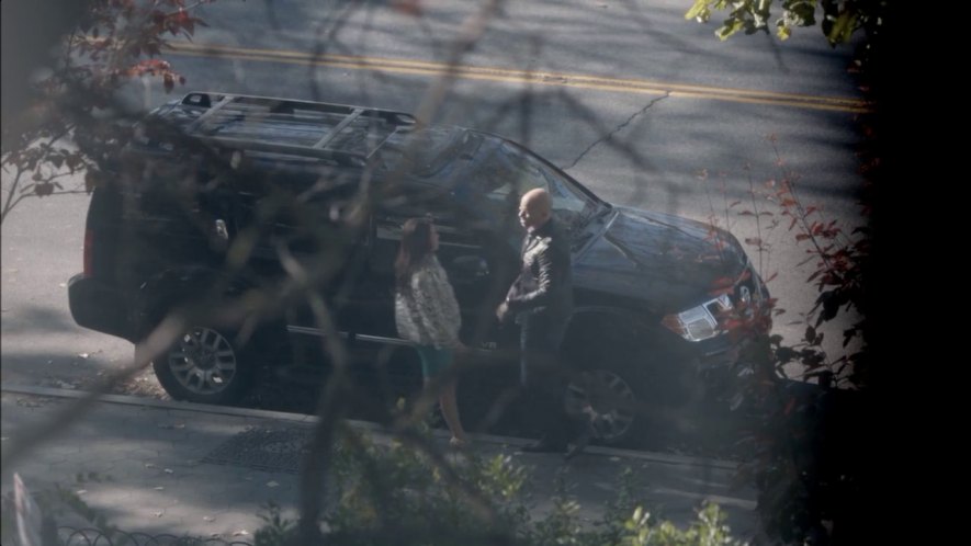 2008 Nissan Pathfinder LE V8 [R51]