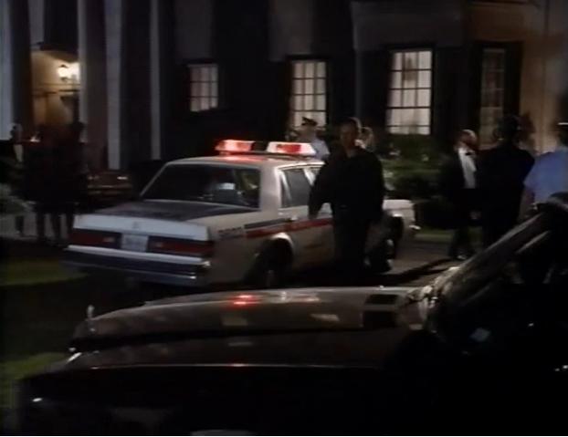 1986 Plymouth Caravelle Salon