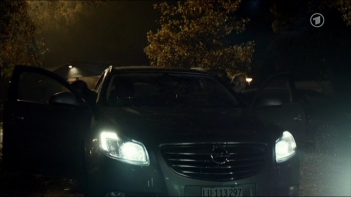 2009 Opel Insignia Sports Tourer [A]