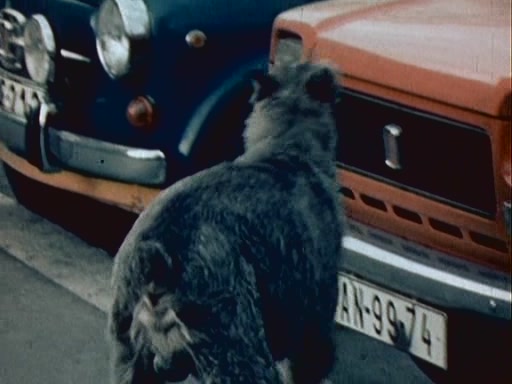 1972 Fiat 127 1a serie [100GL]