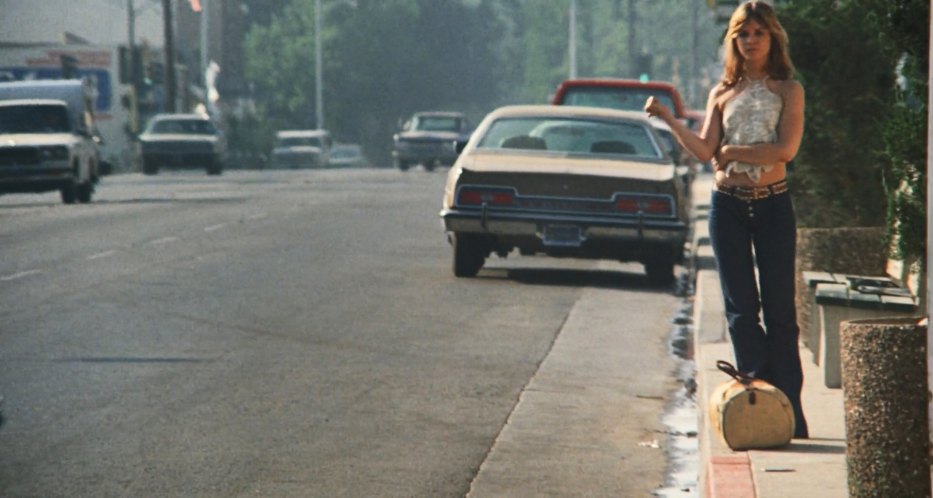 1973 Ford LTD