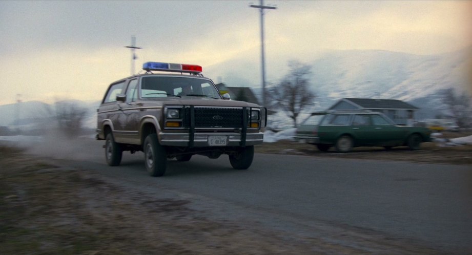 1982 Ford Bronco [U15]