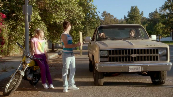 1981 Chevrolet C-Series