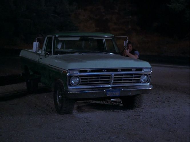 1973 Ford F-Series Regular Cab