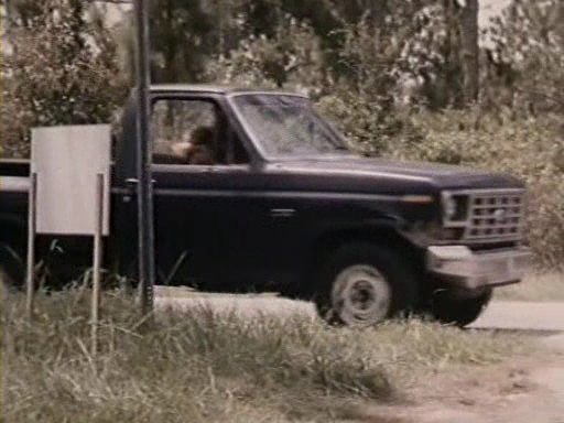 1982 Ford F-Series Regular Cab Flareside