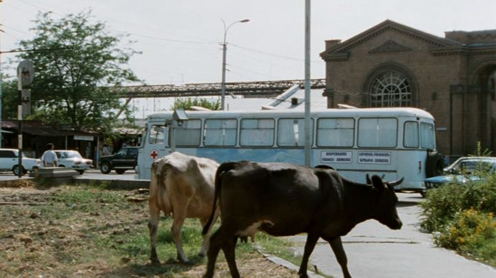 LiAZ 677