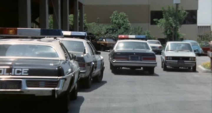 1981 Volkswagen Rabbit I [Typ 17]