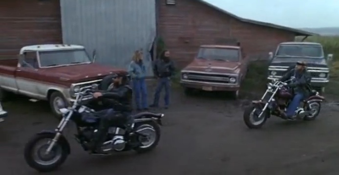 Harley-Davidson Softail