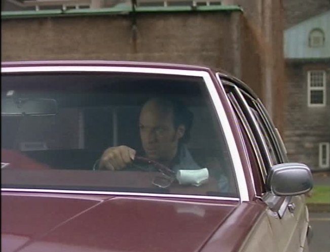 1980 Oldsmobile Ninety-Eight Regency