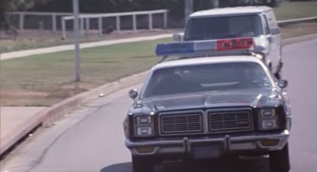 1977 Dodge Monaco