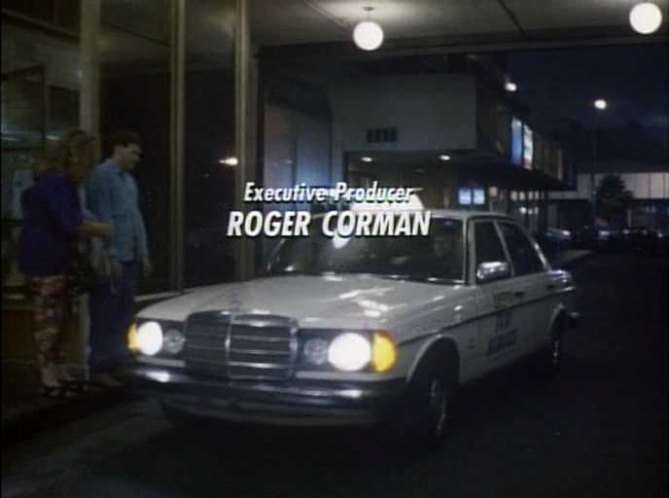 1977 Mercedes-Benz [W123]