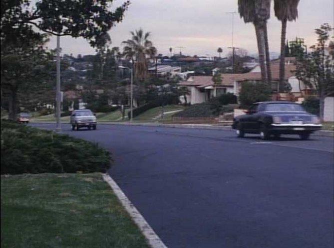 1980 Oldsmobile Cutlass Supreme