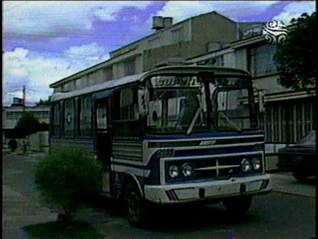 Dodge D-Series Blue Bird