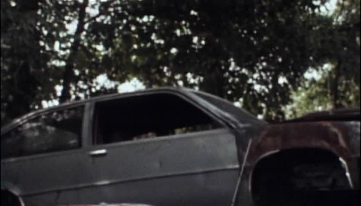 1980 Chevrolet Citation