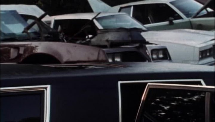1977 Pontiac Firebird