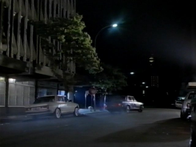 Mercedes-Benz [W123]