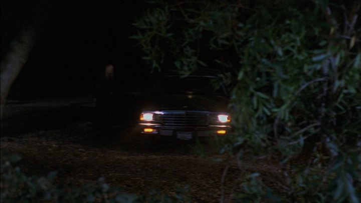 1981 Chevrolet Caprice Classic