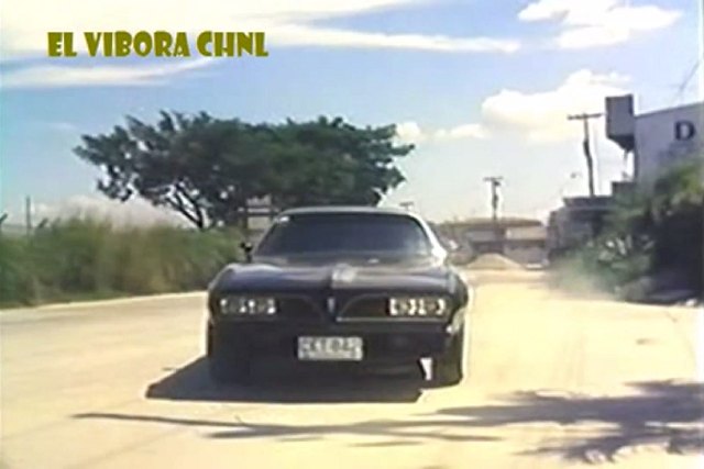 1977 Pontiac Firebird Trans Am