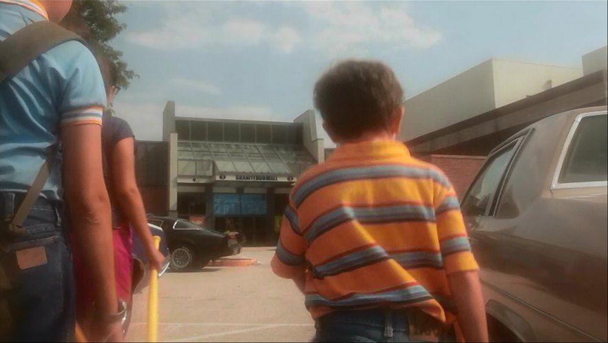 1979 Pontiac Firebird