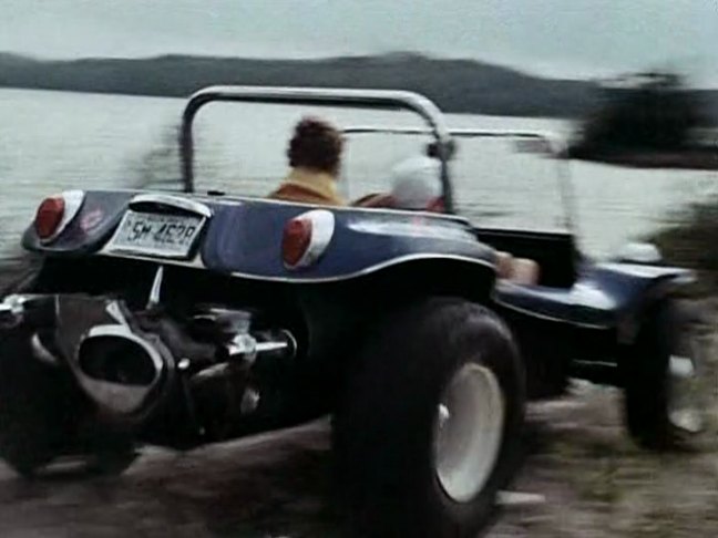 Meyers Manx
