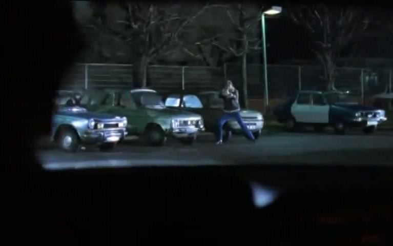 1974 Renault 6 TL [R1181]