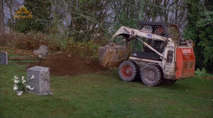 Bobcat 530