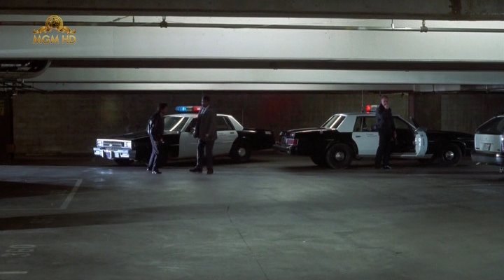 1979 Dodge St. Regis