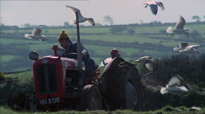 1959 Massey Ferguson 35 Perkins