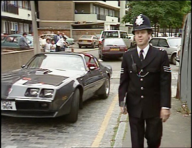 1981 Pontiac Firebird