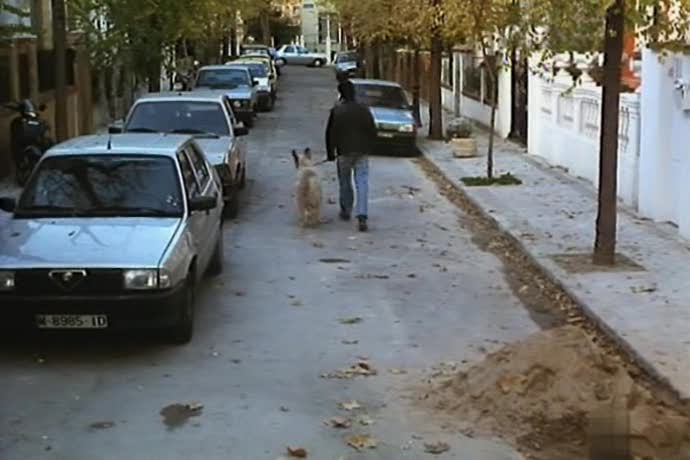 1987 Alfa Romeo 33 1a serie [905]