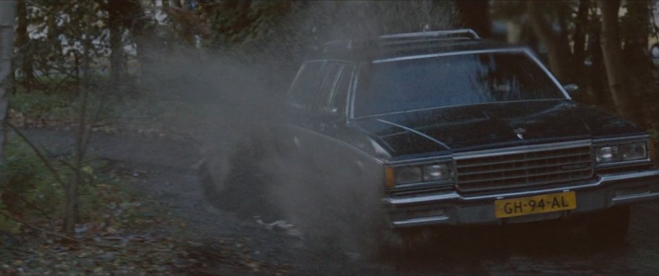 1981 Chevrolet Caprice Estate