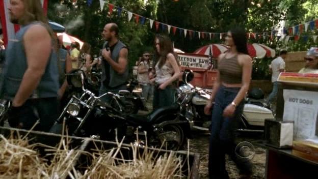 Harley-Davidson unknown