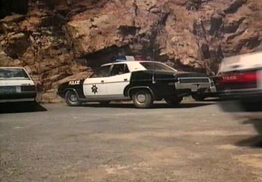 1973 Ford Fairlane [ZG]