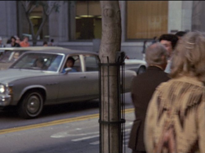 1975 Buick Apollo