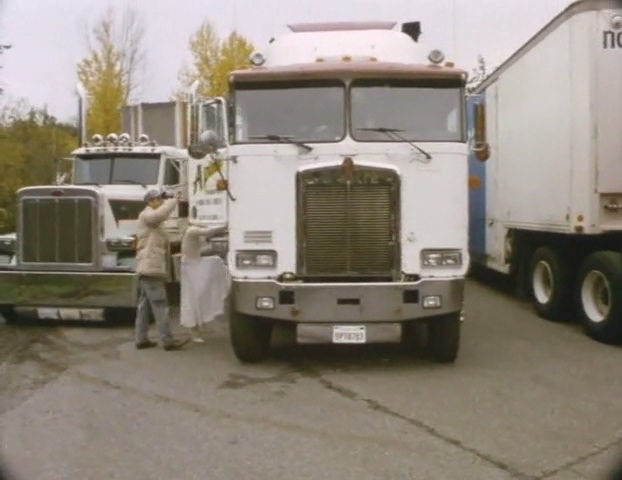 Peterbilt 359