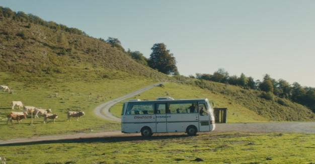 Kässbohrer Setra S 208 H