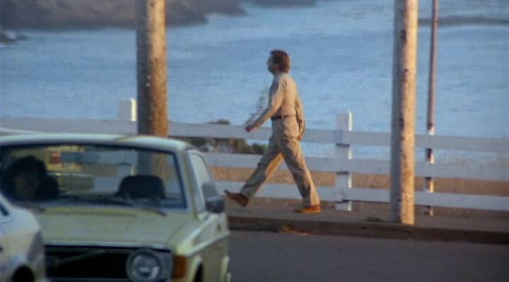 1973 Volvo 142