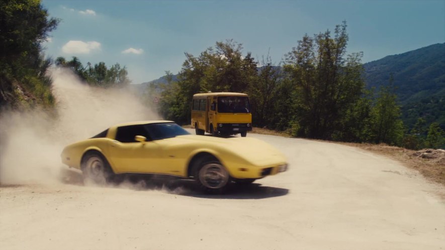 1979 Chevrolet Corvette C3